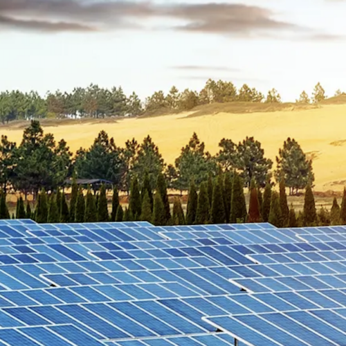 SINGULUS TECHNOLOGIES Solar Kooperation Bekanntmachung